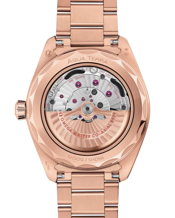 Seamaster Aqua Terra Worldtimer 150M Dubai