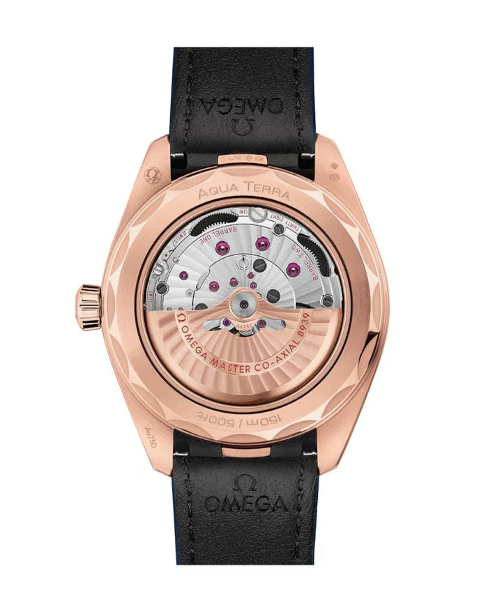 Seamaster Aqua Terra Worldtimer 150M Paris