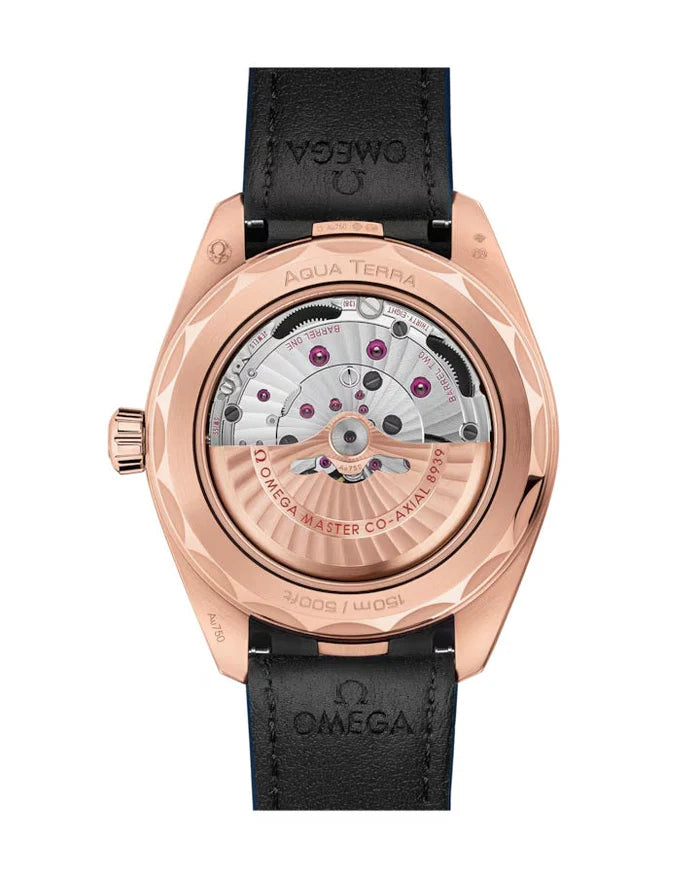 Seamaster Aqua Terra Worldtimer 150M Paris