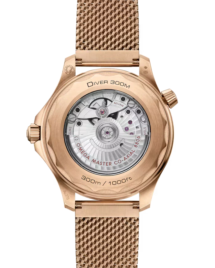 Seamaster Diver 300M