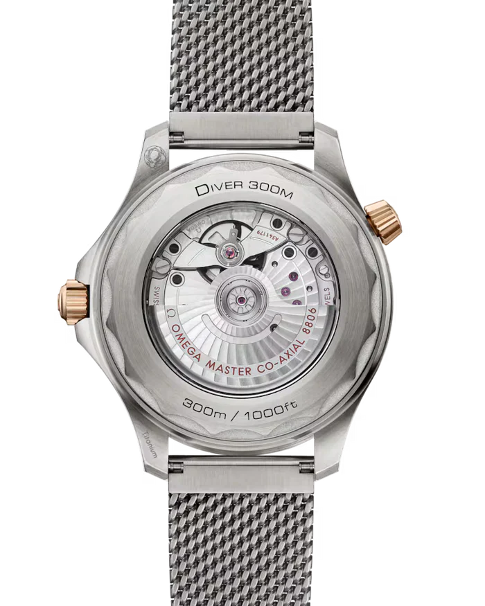 Seamaster Diver 300M